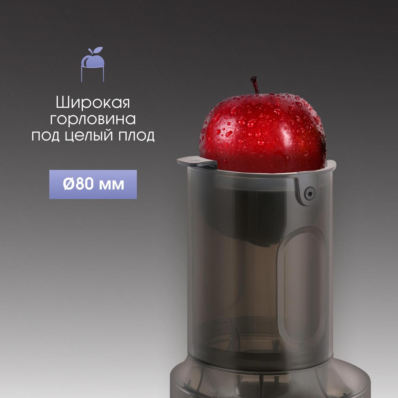 juicer-auger-zigmund-shtain-esj-771-8