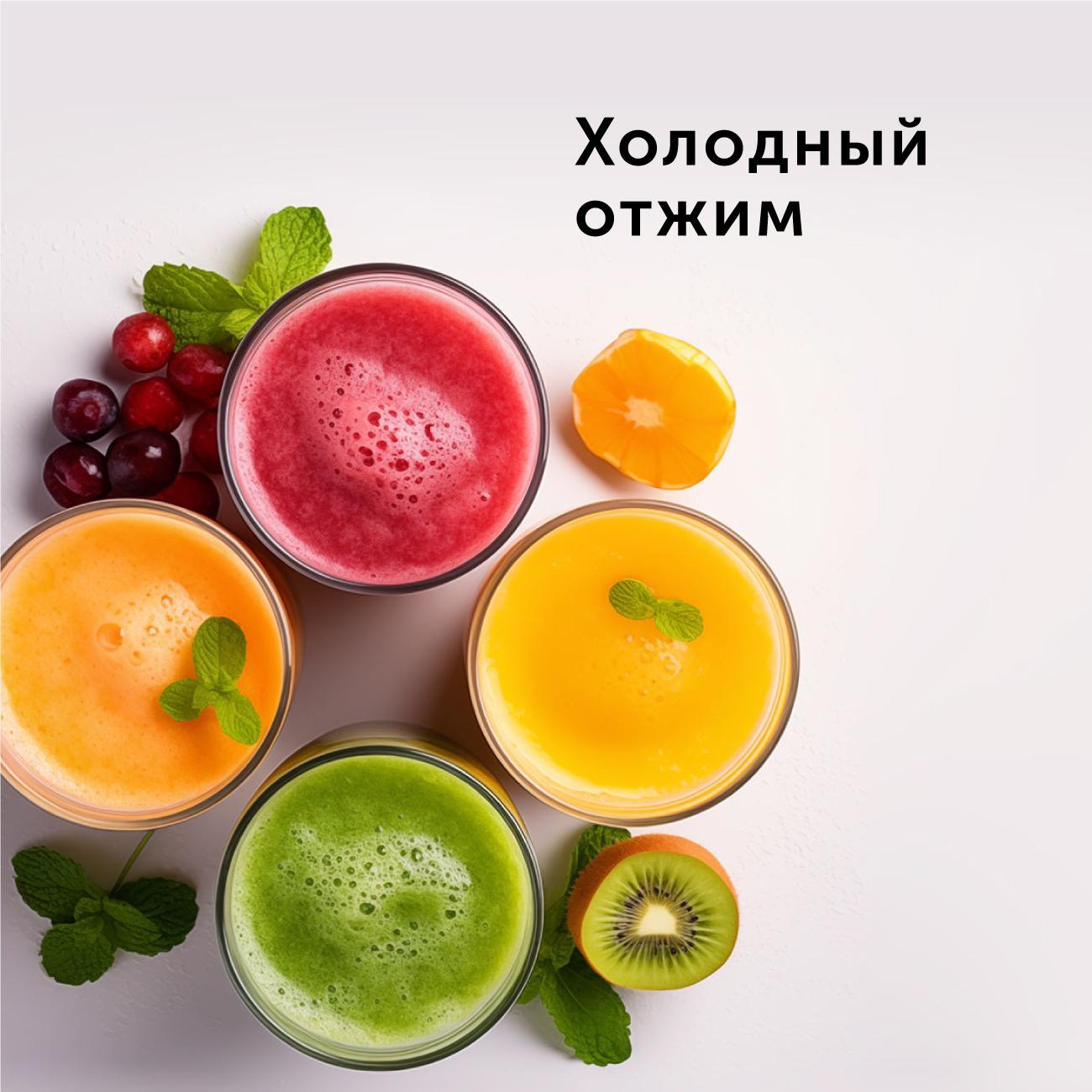 juicer-auger-red-solution-rj-914s-2