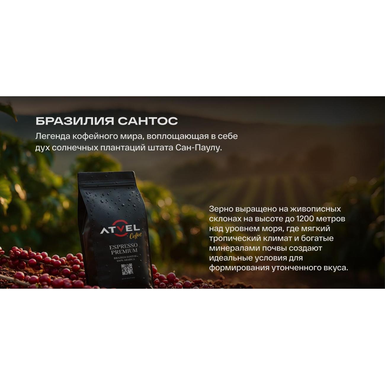 coffee-beans-250g-atvel-brazilia-santos-100-arabica-4