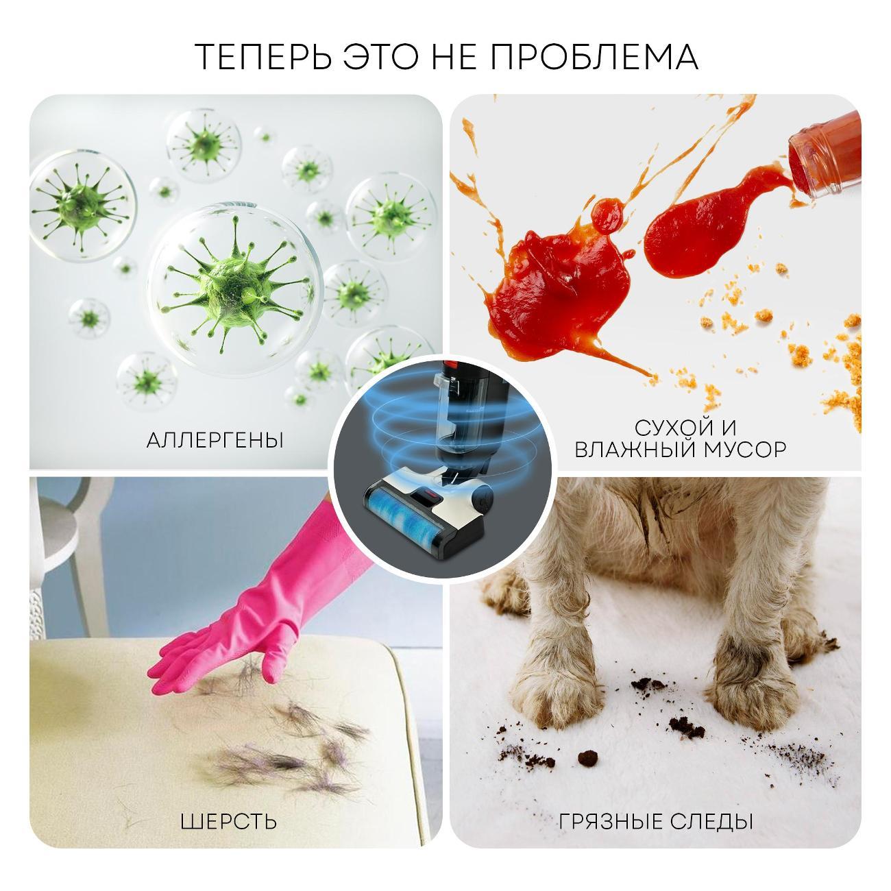 vacuum-cleaner-washing-planta-3v-1-pl-cw201-5