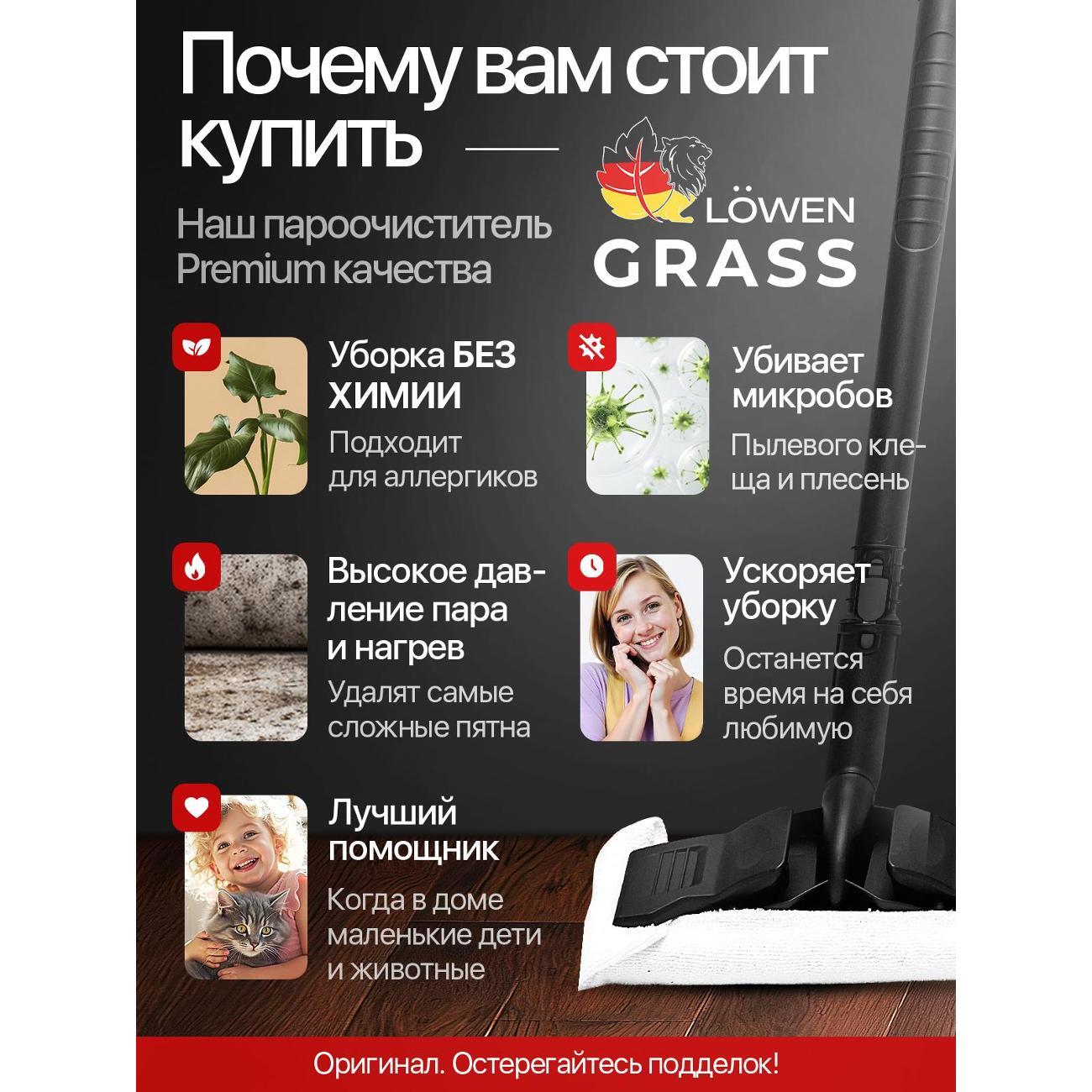 steam-cleaner-lowengrass-steam-pro-professional-30v-1-4