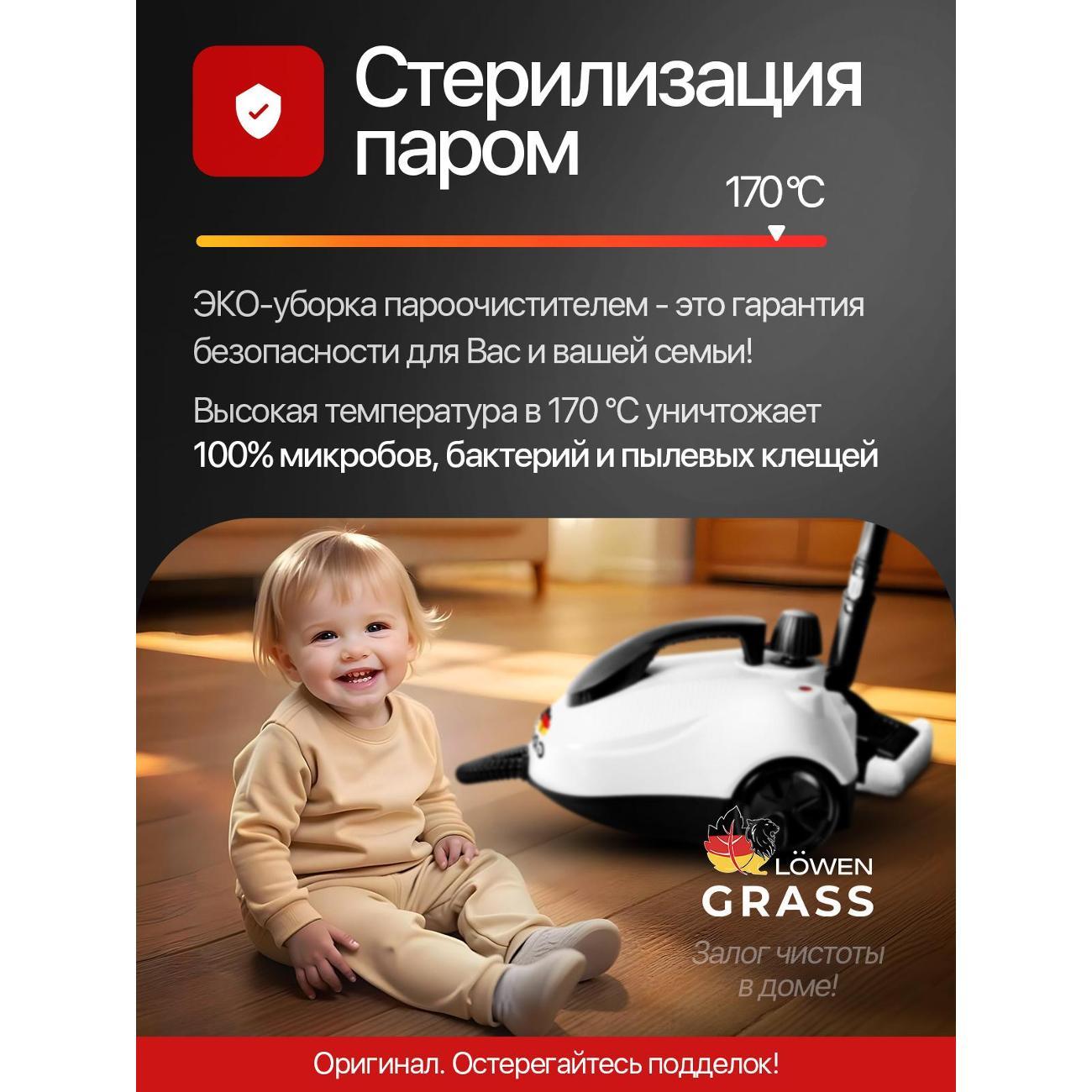 steam-cleaner-lowengrass-steam-pro-professional-30v-1-8