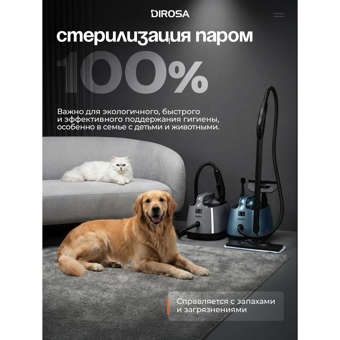 steam-cleaner-dirosa-pr109-9