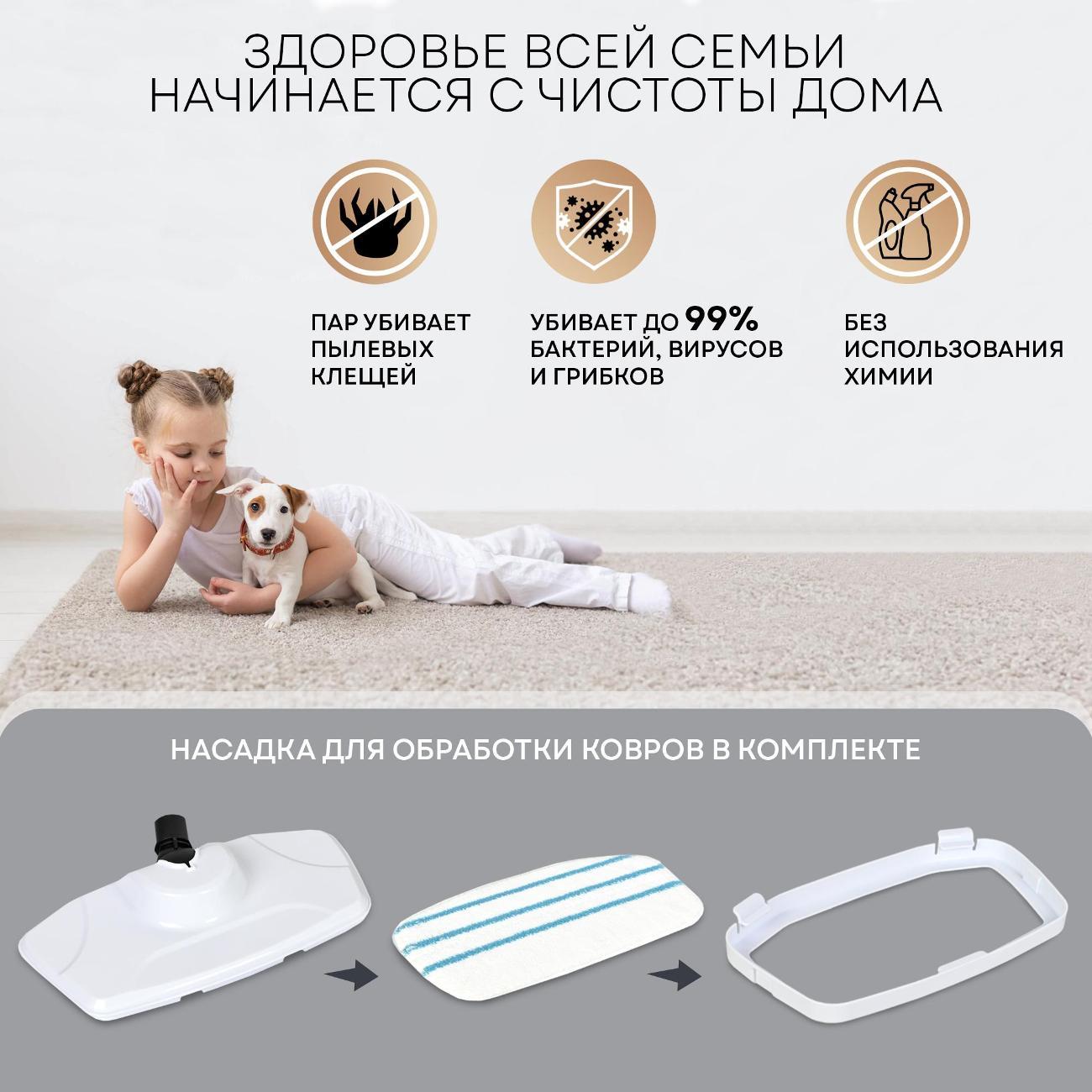 steam-cleaner-planta-pl-sm03-3