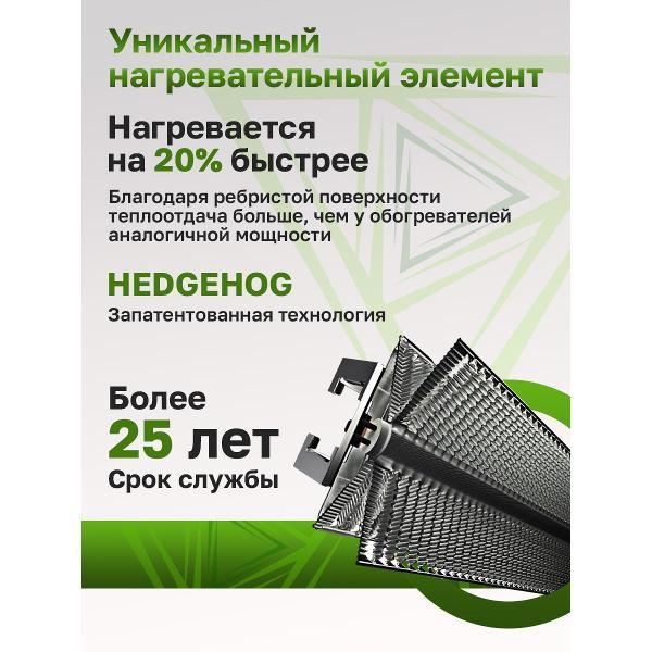 convector-ballu-apollo-transformer-bec-1000-3m-5