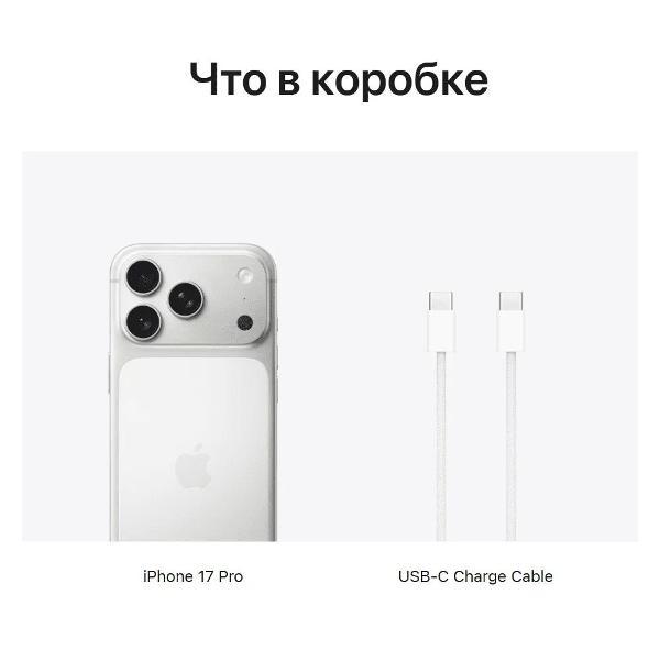 smartphone-apple-iphone-17-pro-256gb-silver-esim-without-rustore