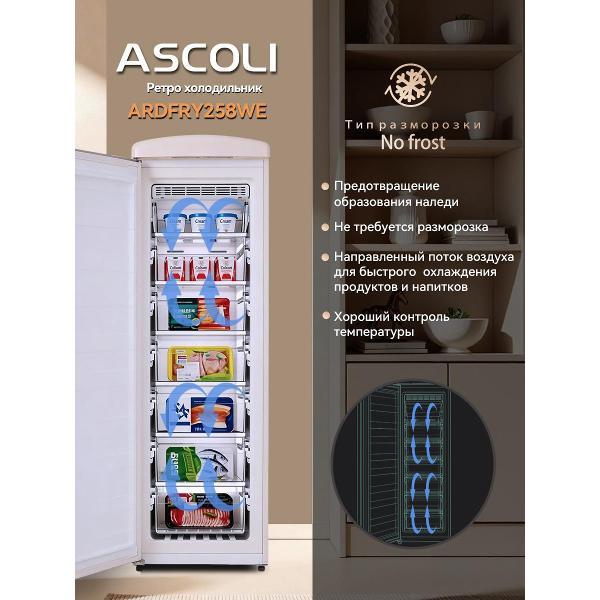 freezer-ascoli-ardfry-258-we-4