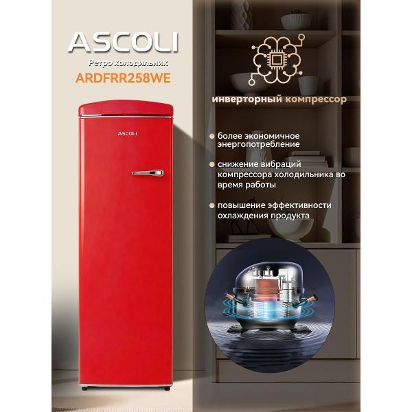 freezer-ascoli-ardfrr-258-we-3