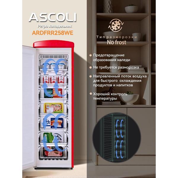 freezer-ascoli-ardfrr-258-we-4