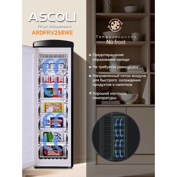 freezer-ascoli-ardfrv-258-we-4