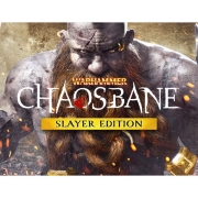 digital-version-games-pc-nacon-warhammer-chaosbane-slayer-edition