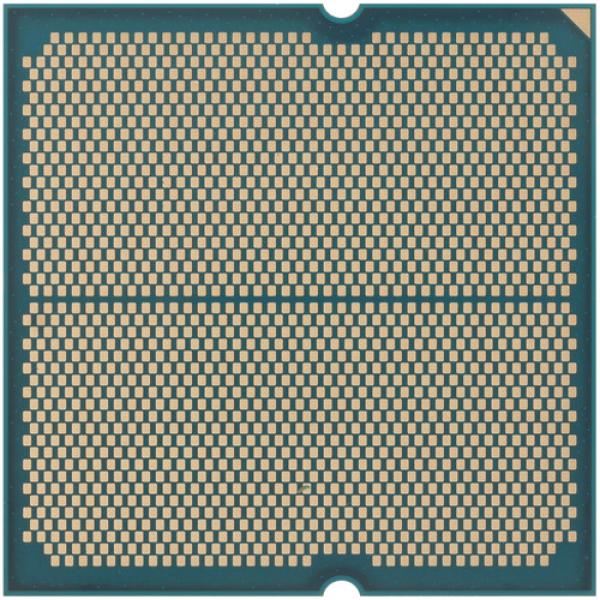 processor-amd-ryzen-5-pro-8600g-oem-2