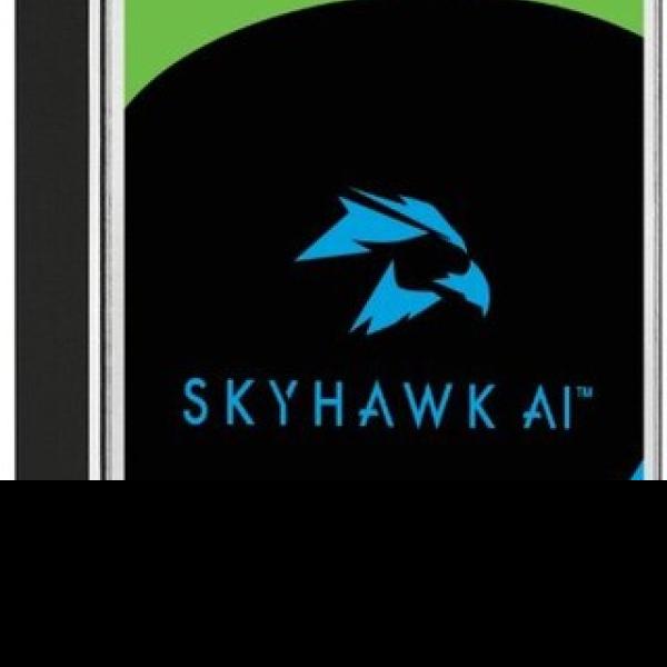 tb-harddrive-seagate-skyhawk-ai-st-24000-ve-002-24-3