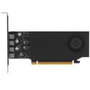 videocard-nvidia-rtx-1000-900-5-g-172-2280-000