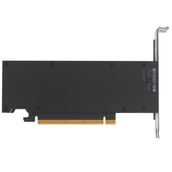 videocard-nvidia-rtx-pro-2000-blackwell-900-5-g-195-2250-000-2