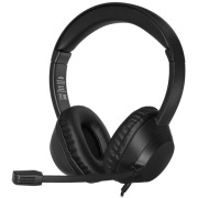 wired-headphones-aceline-wd-100-black-2023