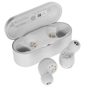 headphones-truewireless-technics-eah-az40g-k-silver-2021