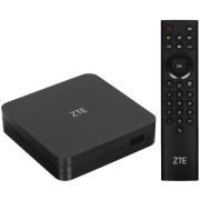 mediaplayer-zte-zxv-10-b-866