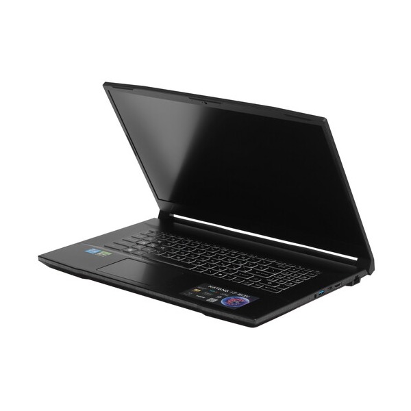 laptop-msi-katana-17-b-13-vek-1089-xru-black-173inch-4