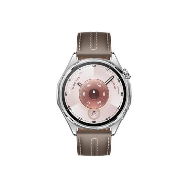 smartwatches-huawei-watch-gt-6-atum-b19l-46mm-147inch-brown-silver-2