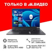 Ноутбук игровой Thunderobot Zero G3 Pro/16"/Core i5-13500HX/16/512/RTX 4060/Win/Grey