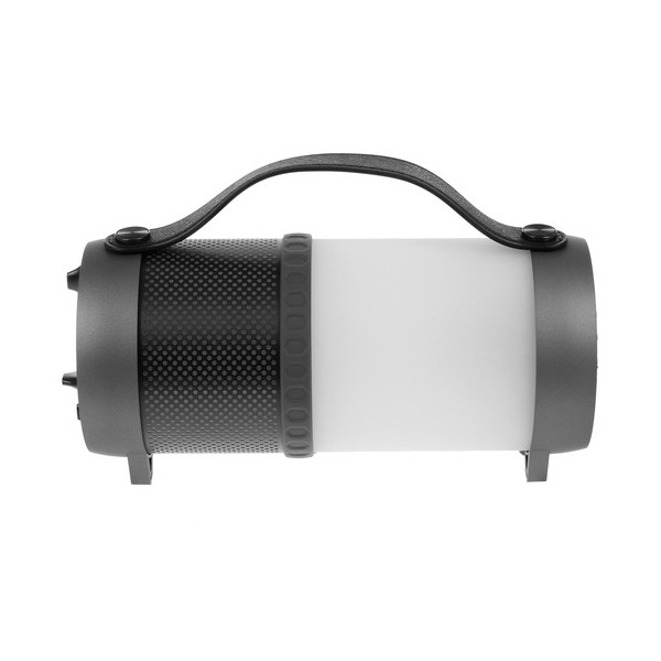 portable-speaker-dialog-progressive-ap-1010-grey-thumb-2
