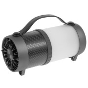 portable-speaker-dialog-progressive-ap-1010-grey