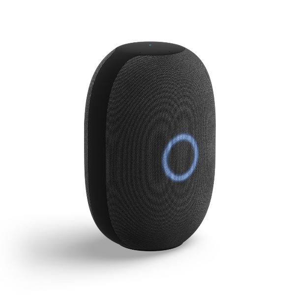 vk-kapsula-s-golosovym-pomoshhnikom-marusei-blackaya-5