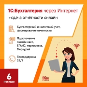 1s-buhgalteriya1s-reporting1pk-6-mesyacev