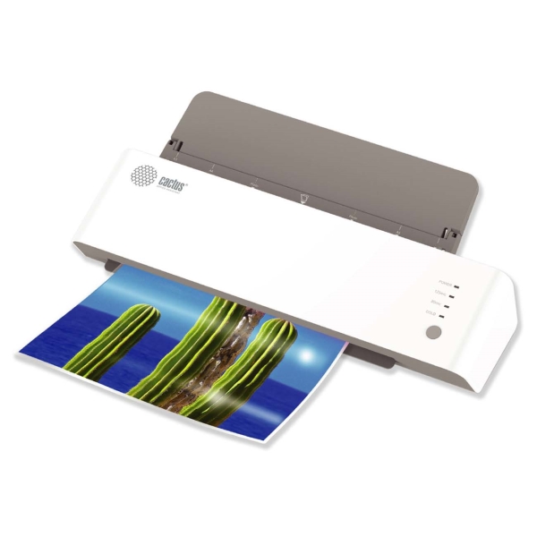 cactus-cs-lab-a3600-a3