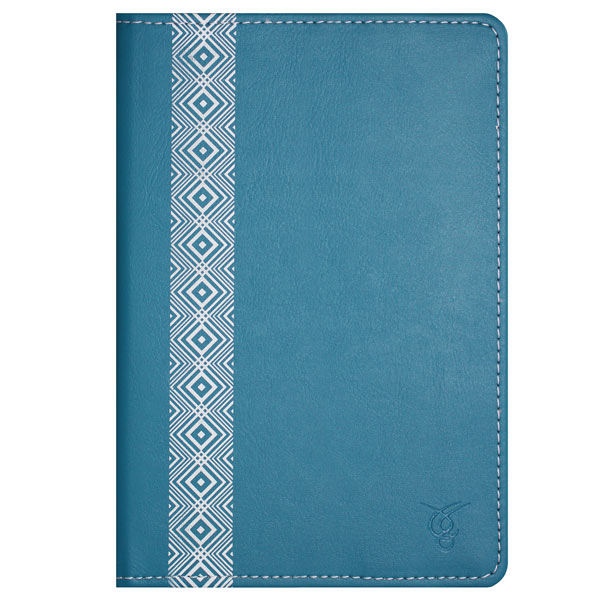 vivacase-vpb-p6r02-blue