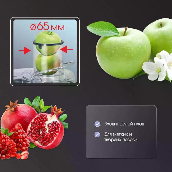 zigmund-shtain-ej-753-6