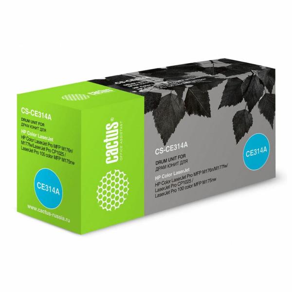 cactus-cs-ce314a