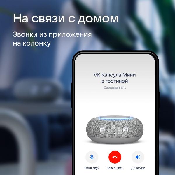 vk-kapsula-mini-s-golosovym-pomoshhnikom-marusei-svetlo-grey-5