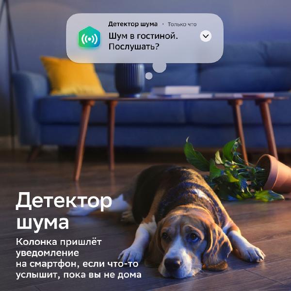 sber-sberboom-galakticheskii-blue-9