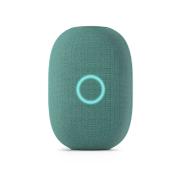 vk-kapsula-s-golosovym-pomoshhnikom-marusei-zelenaya