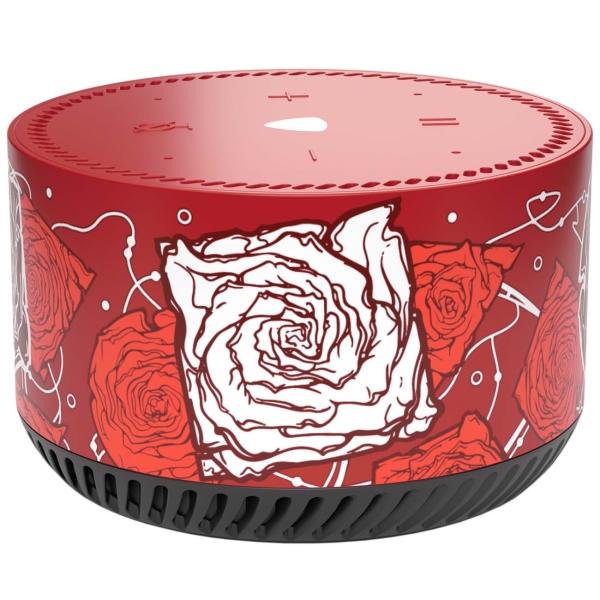 yandeks-stanciya-lait-rainbo-desert-roses-3