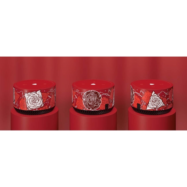 yandeks-stanciya-lait-rainbo-desert-roses-5