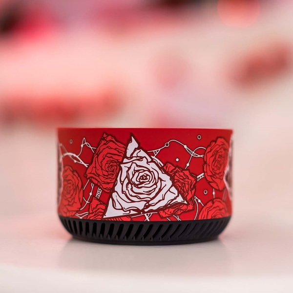 yandeks-stanciya-lait-rainbo-desert-roses-7