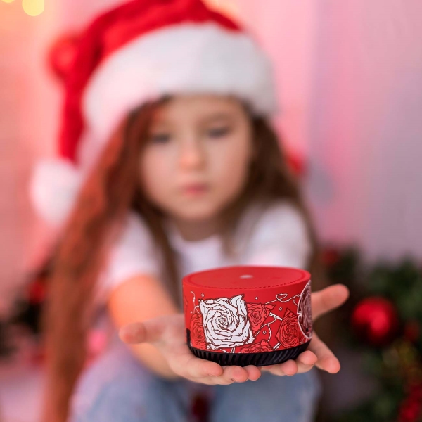 yandeks-stanciya-lait-rainbo-desert-roses-8