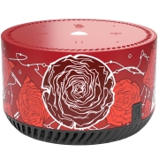 yandex-station-lait-rainbo-desert-roses