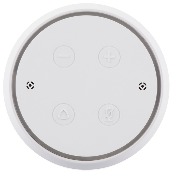 irbis-domashnii-pomoshhnik-s-alisoi-a01-white-3