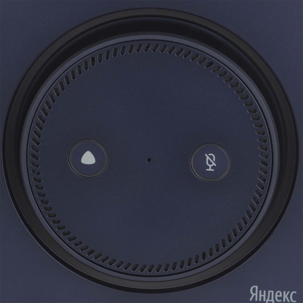 yandeks-stanciya-maks-s-alisoi-blue-3