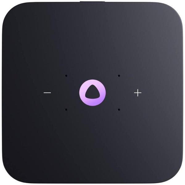 yandex-station-midi-s-alisoi-grey-2