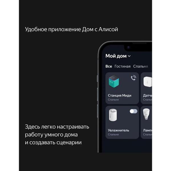 yandex-station-midi-s-alisoi-grey-7