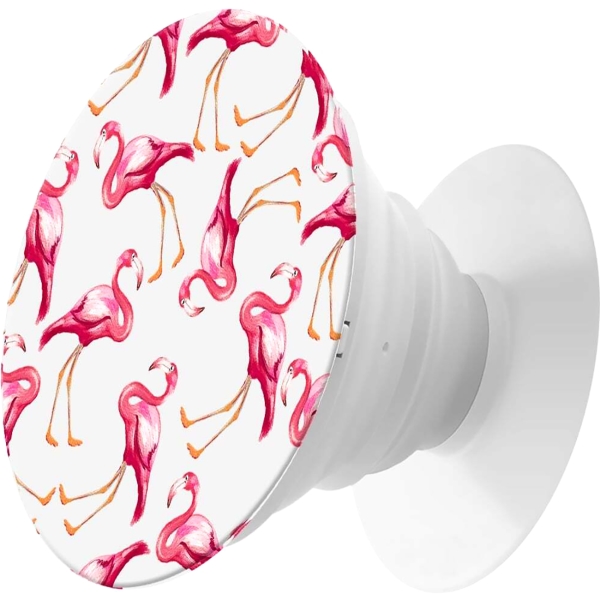 krutoff-priroda-flamingo-91152