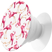 krutoff-priroda-flamingo-91152