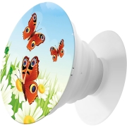 krutoff-priroda-letnii-lug-91149