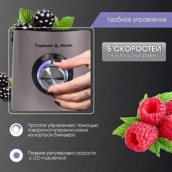 zigmund-shtain-bs-441-d-5