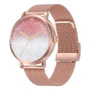 checkme-smart-cmsdtsgg